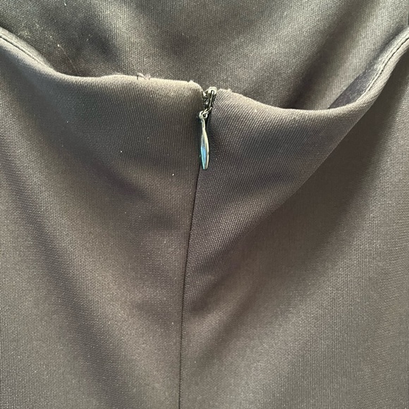 Arianna/Rachel Kaye gorgeous sleeveless gown w amazing embroidery. Size 6. - Picture 7 of 11